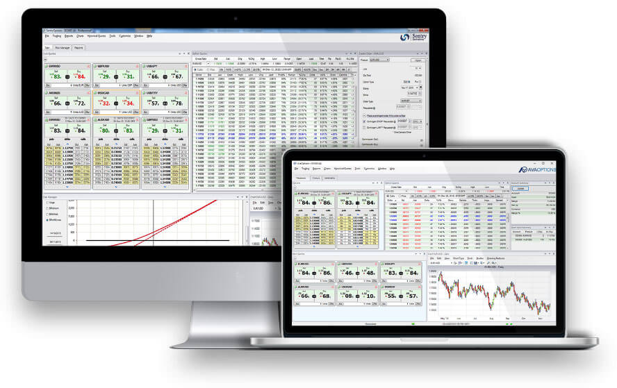 avaoptions platform