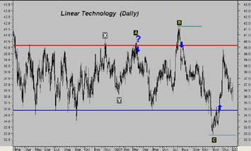 Daily Linear Chart