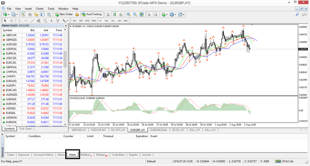 Enter the MT4 platform and open the terminal window at the bottom of the screen by pressing CTRL + T on the keyboard and selecting the Alerts tab.