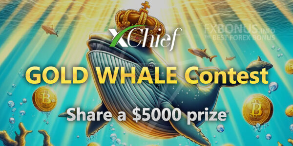 xchief GOLD WHALE Contest $5000 prize banner