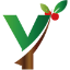 YEWTrading